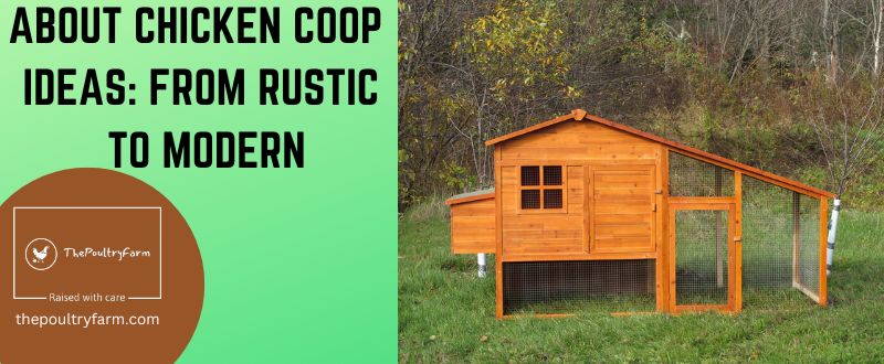 ABOUT CHICKEN COOP IDEAS: FROM RUSTIC TO MODERN