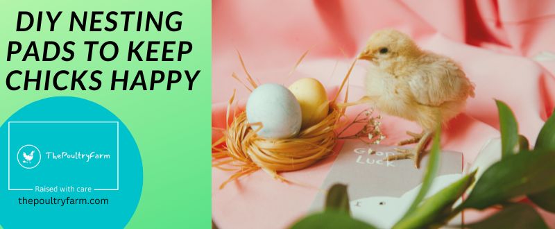 DIY Nesting Pads to Keep Chicks Happy